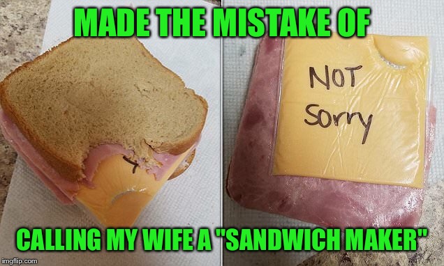 Dishwasher's actin' up again | MADE THE MISTAKE OF; CALLING MY WIFE A "SANDWICH MAKER" | image tagged in wife,sandwich | made w/ Imgflip meme maker