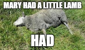 But it's no biggie - after all, it was little | MARY HAD A LITTLE LAMB; HAD | image tagged in memes,dank memes,bad puns,mary had a little lamb,funny,homework excuses | made w/ Imgflip meme maker