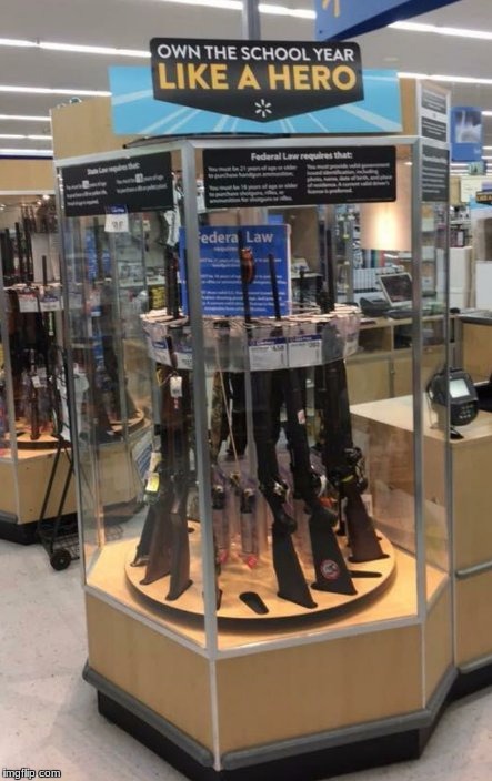 What the Actual F*ck Walmart | image tagged in memes,funny,school,guns,walmart,own the school year like a hero | made w/ Imgflip meme maker