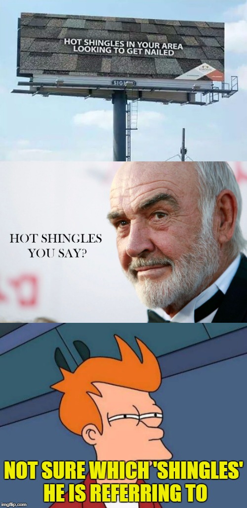 Look up! Shingles Everywhere! | NOT SURE WHICH 'SHINGLES' HE IS REFERRING TO | image tagged in memes,sean connery,shingles,futurama fry | made w/ Imgflip meme maker