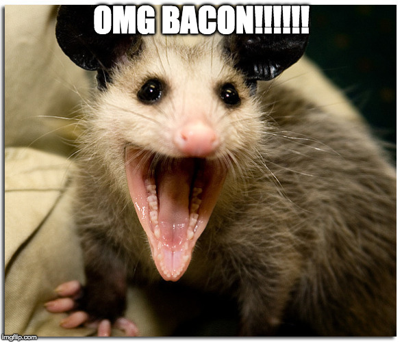 Me: | OMG BACON!!!!!! | image tagged in awesome possum,iwanttobebacon,iwanttobebaconcom | made w/ Imgflip meme maker