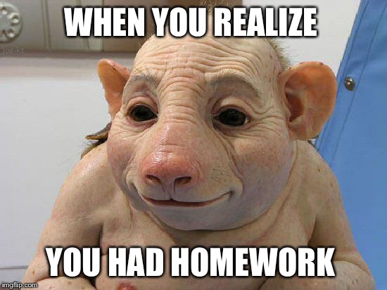 WHEN YOU REALIZE; YOU HAD HOMEWORK | image tagged in jas | made w/ Imgflip meme maker