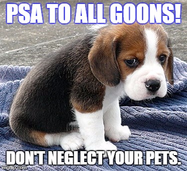 Take Care of Your Goon Pets | PSA TO ALL GOONS! DON'T NEGLECT YOUR PETS. | image tagged in eve online | made w/ Imgflip meme maker