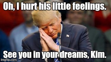 Trump Sleeping  | Oh, I hurt his little feelings. See you in your dreams, Kim. | image tagged in trump sleeping | made w/ Imgflip meme maker