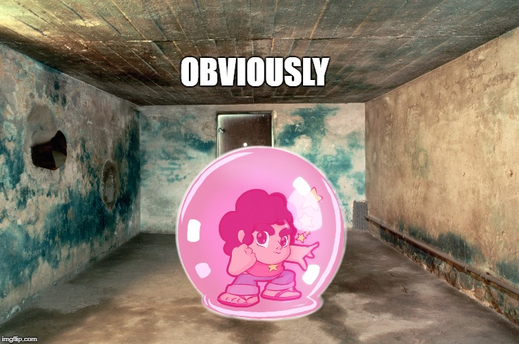 I'm sorry for this | OBVIOUSLY | image tagged in holocaust,offensive,steven universe | made w/ Imgflip meme maker