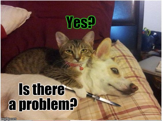 Yes? Is there a problem? | made w/ Imgflip meme maker