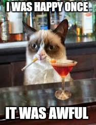 It was the worst of times... | I WAS HAPPY ONCE; IT WAS AWFUL | image tagged in memes,grumpy cat,funny animals,happy,taxes | made w/ Imgflip meme maker