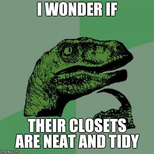 Philosoraptor Meme | I WONDER IF THEIR CLOSETS ARE NEAT AND TIDY | image tagged in memes,philosoraptor | made w/ Imgflip meme maker