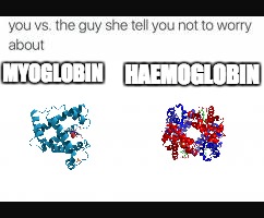 You vs the guy  | HAEMOGLOBIN; MYOGLOBIN | image tagged in you vs the guy | made w/ Imgflip meme maker