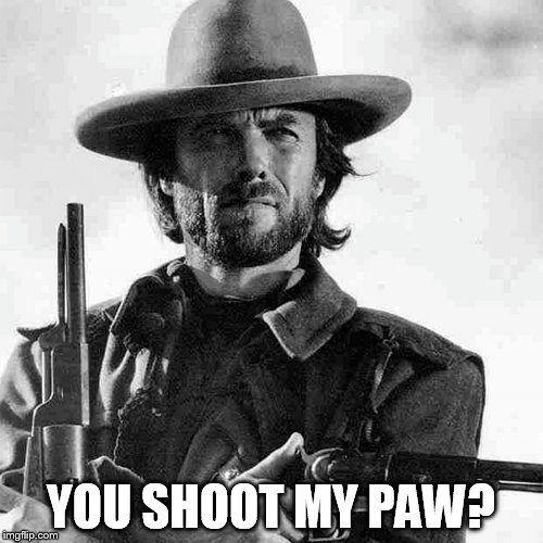 YOU SHOOT MY PAW? | made w/ Imgflip meme maker