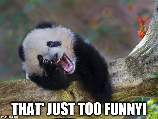 laughing panda | THAT' JUST TOO FUNNY! | image tagged in laughing panda | made w/ Imgflip meme maker