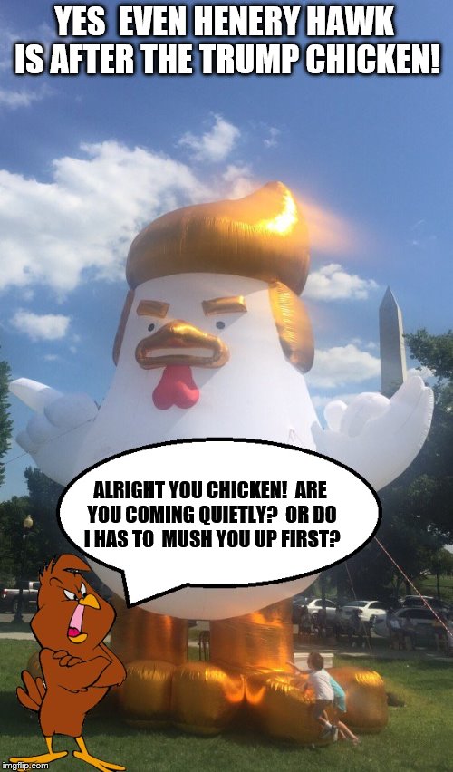 Chicken Hawk's hunting for Trump | YES  EVEN HENERY HAWK IS AFTER THE TRUMP CHICKEN! ALRIGHT YOU CHICKEN!  ARE YOU COMING QUIETLY?  OR DO I HAS TO  MUSH YOU UP FIRST? | image tagged in chicken,donald trump | made w/ Imgflip meme maker