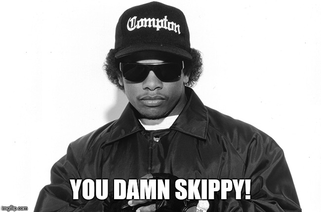 easy e | YOU DAMN SKIPPY! | image tagged in easy e | made w/ Imgflip meme maker