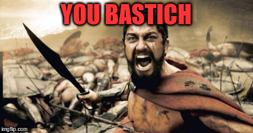 Sparta Leonidas Meme | YOU BASTICH | image tagged in memes,sparta leonidas | made w/ Imgflip meme maker
