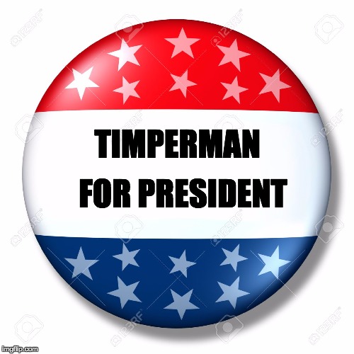 Blank for president | FOR PRESIDENT; TIMPERMAN | image tagged in blank for president | made w/ Imgflip meme maker