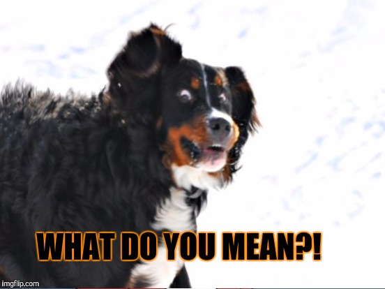 WHAT DO YOU MEAN?! | made w/ Imgflip meme maker