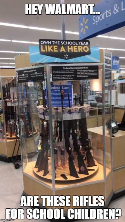 Walmart Gun School Sale | HEY WALMART... ARE THESE RIFLES FOR SCHOOL CHILDREN? | image tagged in guns,rifles,children with guns,guns and schools,walmart,walmart guns | made w/ Imgflip meme maker