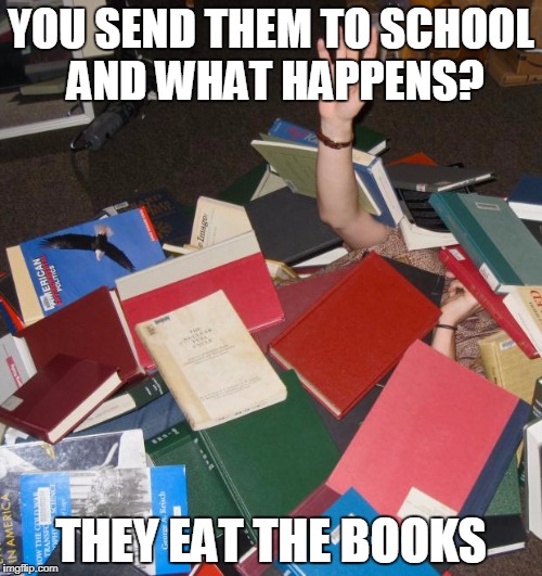 so much books | YOU SEND THEM TO SCHOOL AND WHAT HAPPENS? THEY EAT THE BOOKS | image tagged in so much books | made w/ Imgflip meme maker