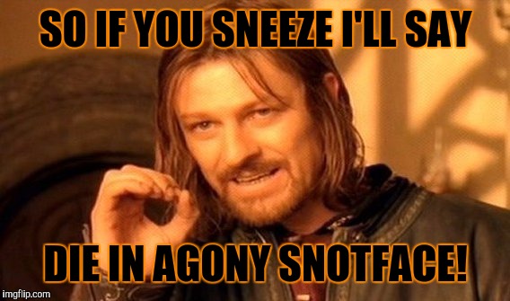 One Does Not Simply Meme | SO IF YOU SNEEZE I'LL SAY DIE IN AGONY SNOTFACE! | image tagged in memes,one does not simply | made w/ Imgflip meme maker