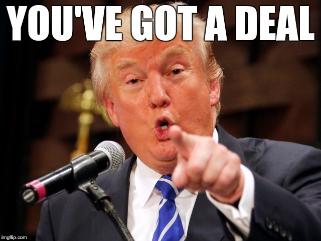 Trump You! | YOU'VE GOT A DEAL | image tagged in trump you | made w/ Imgflip meme maker