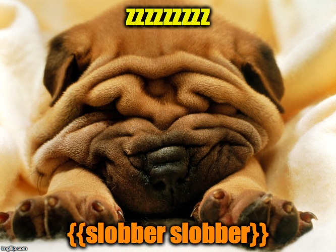 sleepy shar pei puppy | zzzzzzzzz {{slobber slobber}} | image tagged in sleepy shar pei puppy | made w/ Imgflip meme maker