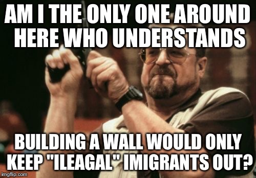 Am I The Only One Around Here Meme | AM I THE ONLY ONE AROUND HERE WHO UNDERSTANDS; BUILDING A WALL WOULD ONLY KEEP "ILEAGAL" IMIGRANTS OUT? | image tagged in memes,am i the only one around here | made w/ Imgflip meme maker