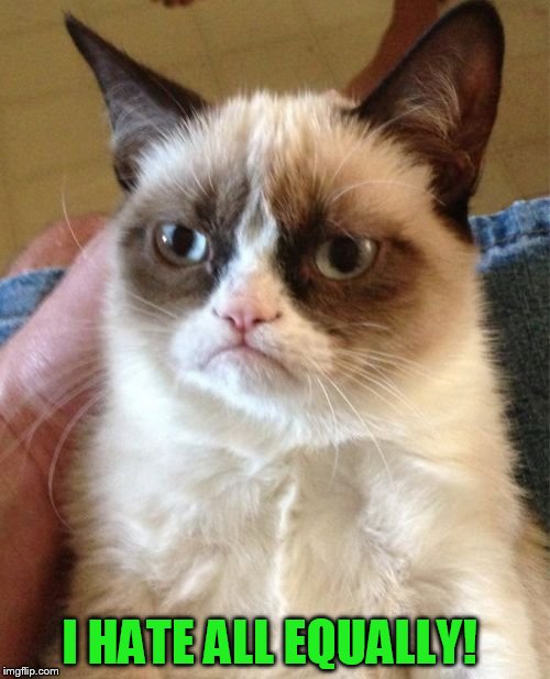 Grumpy Cat Meme | I HATE ALL EQUALLY! | image tagged in memes,grumpy cat | made w/ Imgflip meme maker