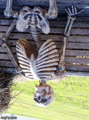 A DEATH IN AUSTRALIA :D | image tagged in funny,waiting skeleton,death,humor,memes | made w/ Imgflip meme maker
