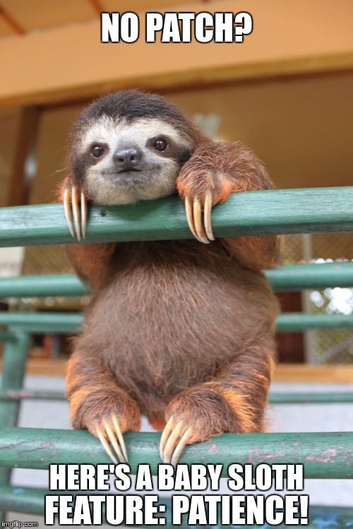 sloth | NO PATCH? HERE'S A BABY SLOTH; FEATURE: PATIENCE! | image tagged in sloth | made w/ Imgflip meme maker