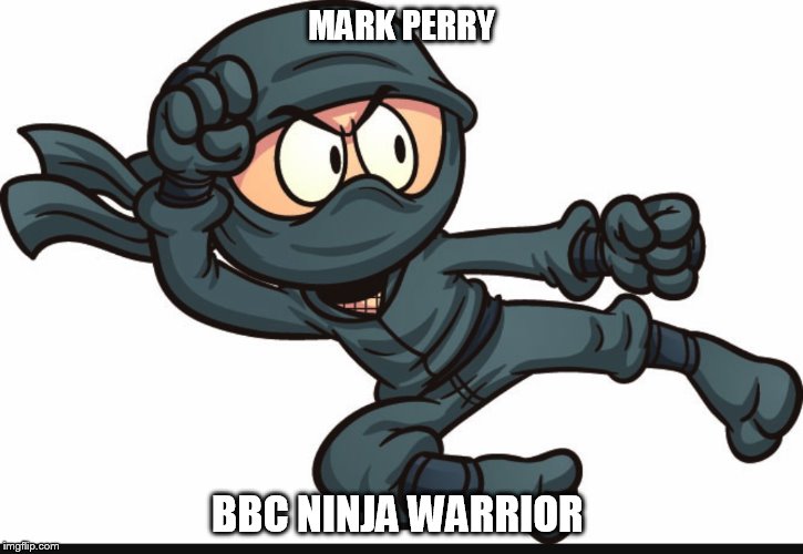 Ninja | MARK PERRY; BBC NINJA WARRIOR | image tagged in ninja | made w/ Imgflip meme maker