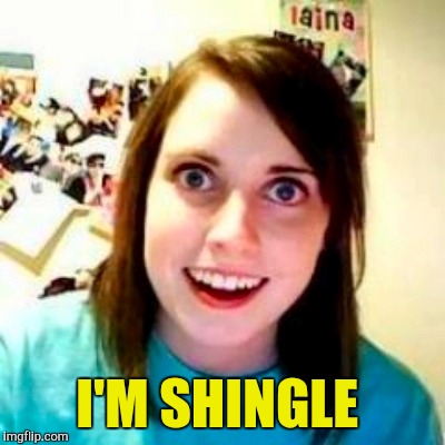 I'M SHINGLE | made w/ Imgflip meme maker