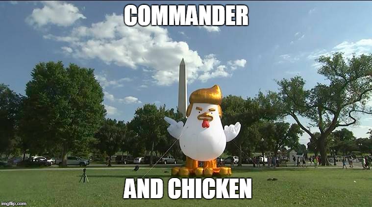 COMMANDER; AND CHICKEN | image tagged in funny,donald trump,chicken,washington dc | made w/ Imgflip meme maker