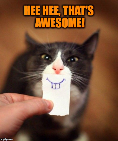 HEE HEE, THAT'S AWESOME! | made w/ Imgflip meme maker