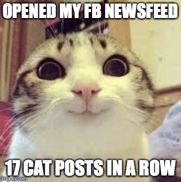 I was expecting Trump's "fire and fury' comment to cause more of a storm. | OPENED MY FB NEWSFEED; 17 CAT POSTS IN A ROW | image tagged in cat,posts,fb newsfeed,facebook | made w/ Imgflip meme maker