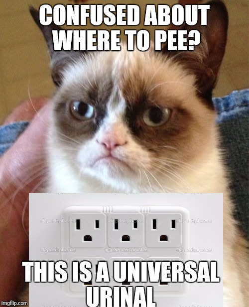 Grumpy Cat | CONFUSED ABOUT WHERE TO PEE? THIS IS A UNIVERSAL URINAL | image tagged in memes,grumpy cat | made w/ Imgflip meme maker