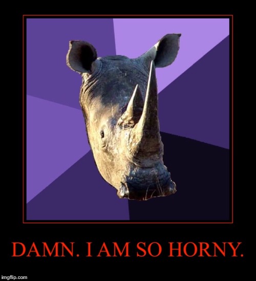 image tagged in rhino | made w/ Imgflip meme maker