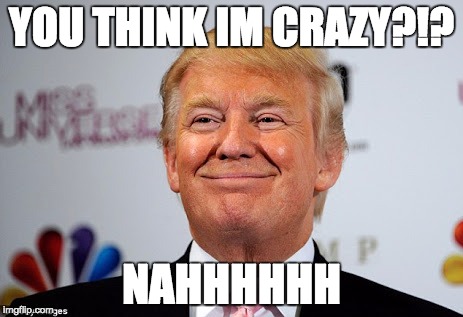 Donald trump approves | YOU THINK IM CRAZY?!? NAHHHHHH | image tagged in donald trump approves | made w/ Imgflip meme maker