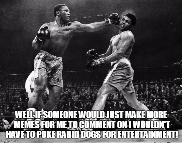 WELL IF SOMEONE WOULD JUST MAKE MORE MEMES FOR ME TO COMMENT ON I WOULDN'T HAVE TO POKE RABID DOGS FOR ENTERTAINMENT! | made w/ Imgflip meme maker