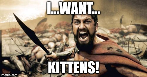 Sparta Leonidas Meme | I...WANT... KITTENS! | image tagged in memes,sparta leonidas | made w/ Imgflip meme maker