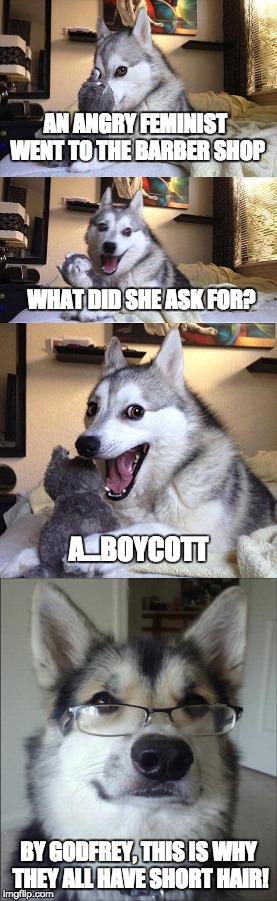 Too much scissoring | AN ANGRY FEMINIST WENT TO THE BARBER SHOP; WHAT DID SHE ASK FOR? A...BOYCOTT; BY GODFREY, THIS IS WHY THEY ALL HAVE SHORT HAIR! | image tagged in bad pun dog,original meme,memes,puns,angry feminist,feminazi | made w/ Imgflip meme maker