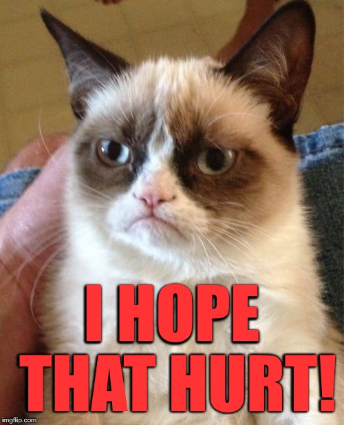 Grumpy Cat Meme | I HOPE THAT HURT! | image tagged in memes,grumpy cat | made w/ Imgflip meme maker