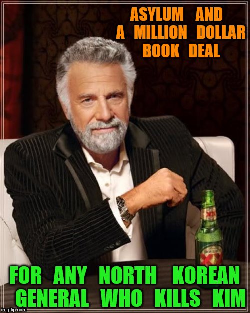 The Most Interesting Man In The World Meme | ASYLUM    AND   A   MILLION   DOLLAR   BOOK   DEAL; FOR   ANY   NORTH    KOREAN   GENERAL   WHO   KILLS   KIM | image tagged in memes,the most interesting man in the world | made w/ Imgflip meme maker
