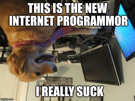 i have no idea | THIS IS THE NEW INTERNET PROGRAMMOR; I REALLY SUCK | image tagged in i have no idea | made w/ Imgflip meme maker