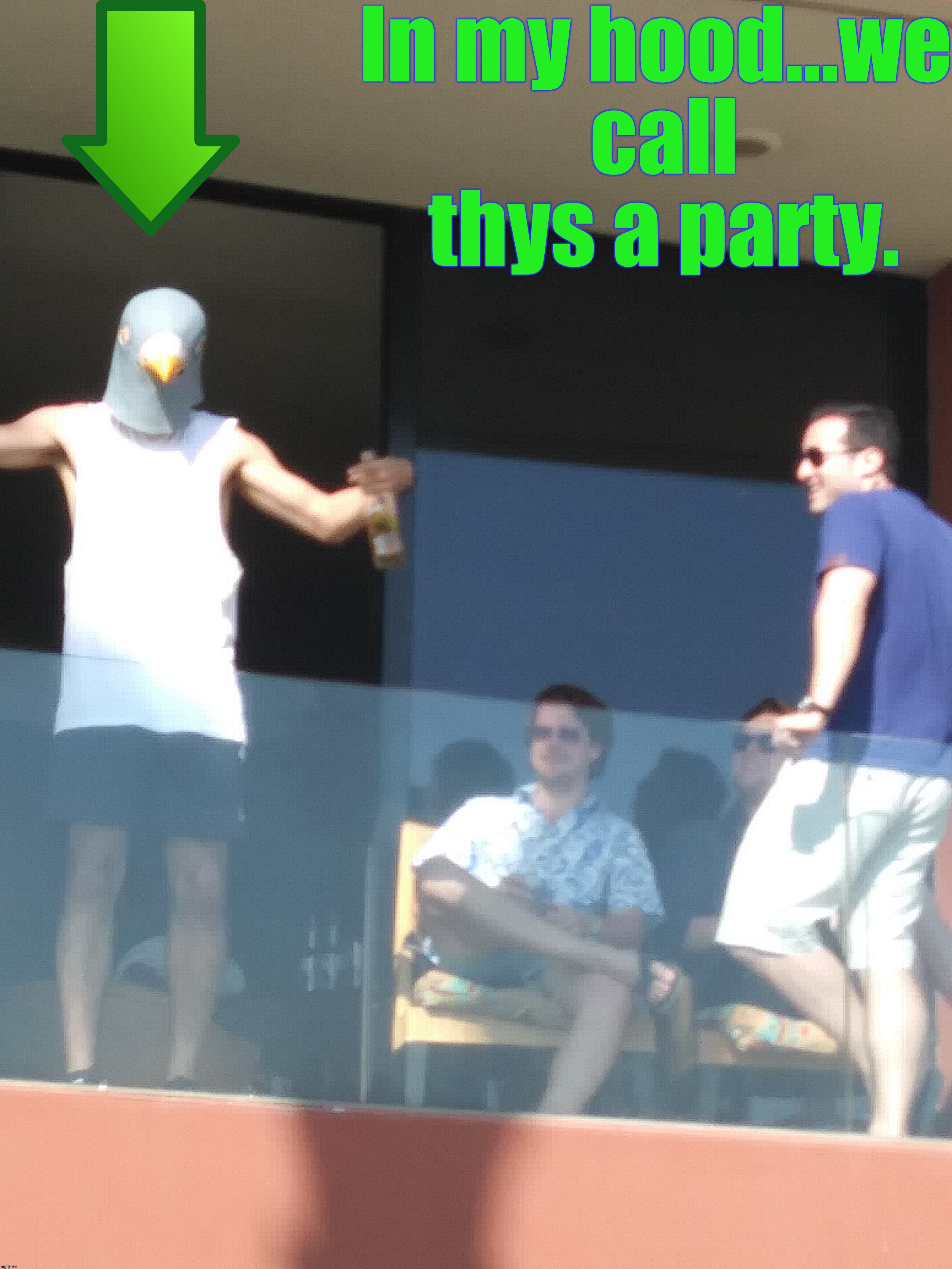 Y Que? |  In my hood...we call thys a party. | image tagged in y que,sexy party,pigeon,party animal,awkward party,funny | made w/ Imgflip meme maker