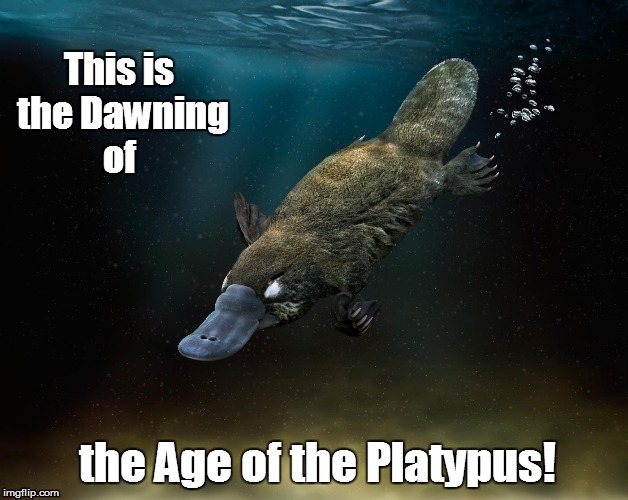 Dawning of the Age of the Platypus. | This is the Dawning of; the Age of the Platypus! | image tagged in platypus | made w/ Imgflip meme maker