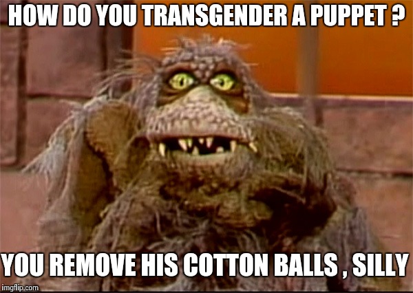 Scred | HOW DO YOU TRANSGENDER A PUPPET ? YOU REMOVE HIS COTTON BALLS , SILLY | image tagged in scred | made w/ Imgflip meme maker