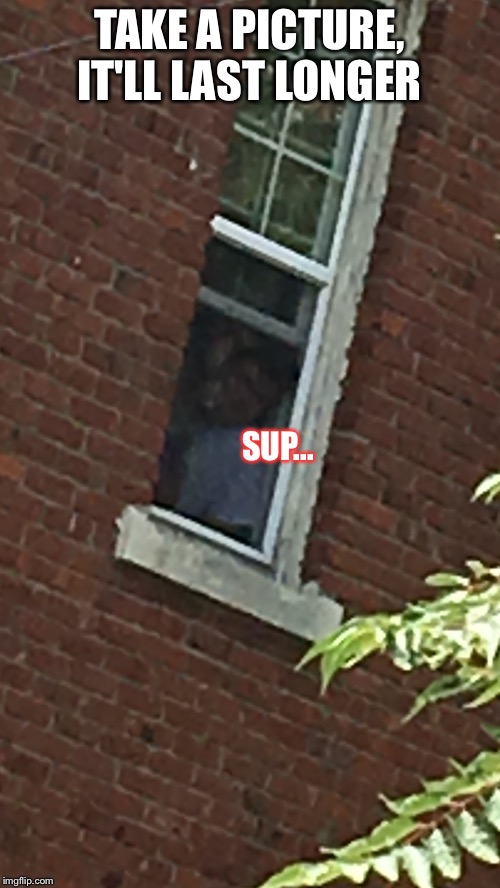 Stalker Caught In Action  | TAKE A PICTURE, IT'LL LAST LONGER; SUP... | image tagged in stalker,picture | made w/ Imgflip meme maker