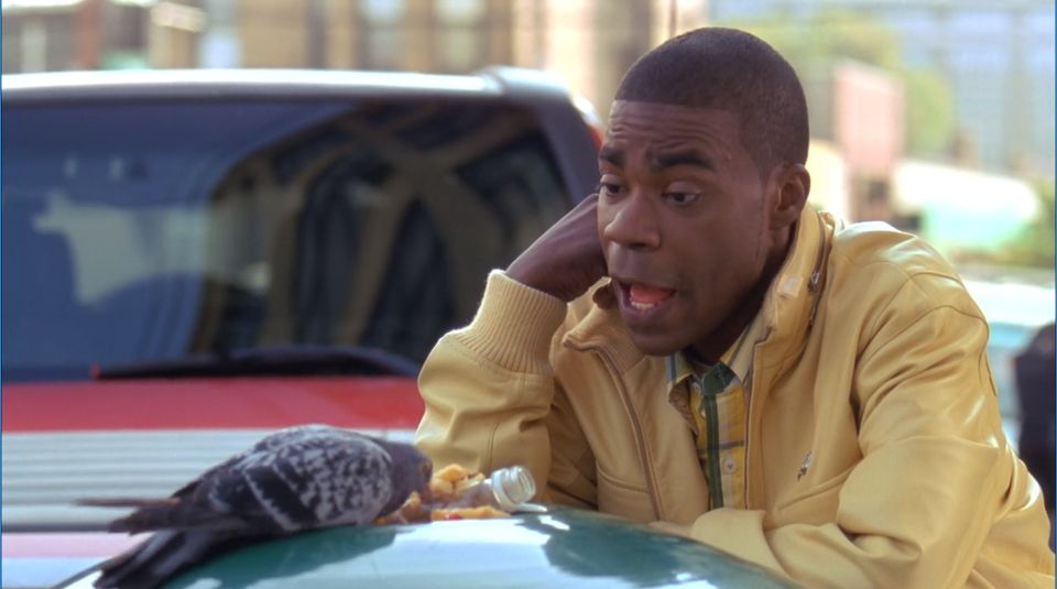 tracy jordan pigeon Blank Meme Template