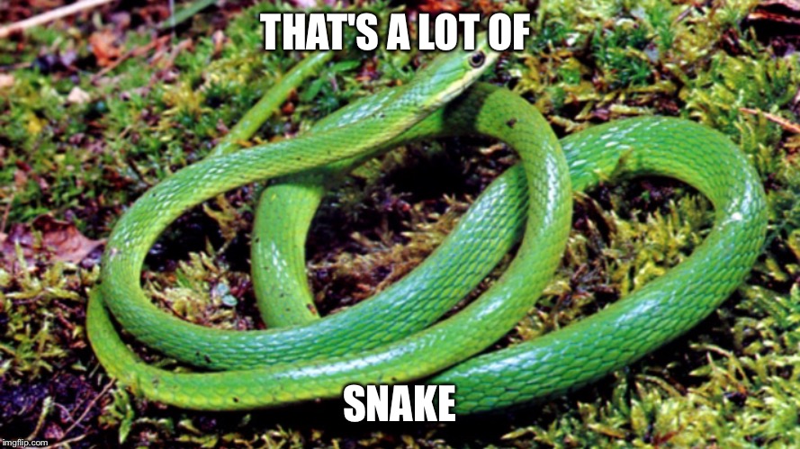 Wow | THAT'S A LOT OF; SNAKE | image tagged in ancient aliens | made w/ Imgflip meme maker