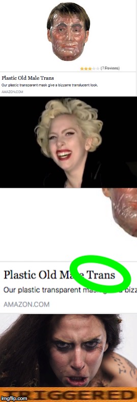 Triggered Gaga | image tagged in lady gaga,triggered liberal,tired of hearing about transgenders | made w/ Imgflip meme maker